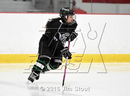 Thumbnail 1 in Eastchester/Tuckahoe/Bronxville @ Somers/North Salem photogallery.