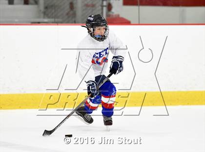 Thumbnail 3 in Eastchester/Tuckahoe/Bronxville @ Somers/North Salem photogallery.