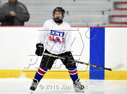 Thumbnail 3 in Eastchester/Tuckahoe/Bronxville @ Somers/North Salem photogallery.