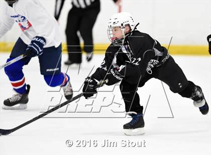 Thumbnail 2 in Eastchester/Tuckahoe/Bronxville @ Somers/North Salem photogallery.