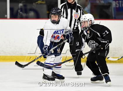 Thumbnail 2 in Eastchester/Tuckahoe/Bronxville @ Somers/North Salem photogallery.