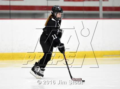 Thumbnail 3 in Eastchester/Tuckahoe/Bronxville @ Somers/North Salem photogallery.