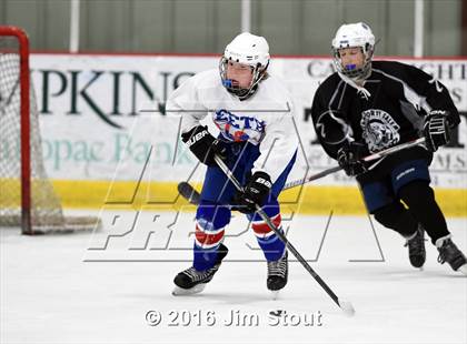 Thumbnail 3 in Eastchester/Tuckahoe/Bronxville @ Somers/North Salem photogallery.