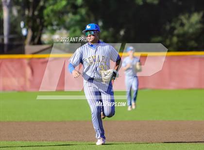 Thumbnail 1 in Newark Memorial @ Cardinal Newman (CIF NCS Division 2 Round 1) photogallery.