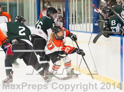 Thumbnail 1 in Brewster @ Pawling photogallery.