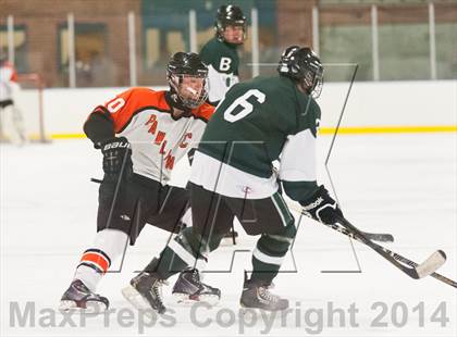 Thumbnail 1 in Brewster @ Pawling photogallery.
