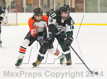 Thumbnail 2 in Brewster @ Pawling photogallery.