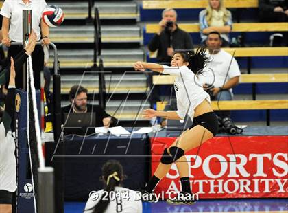 Thumbnail 1 in Archbishop Mitty vs. South (CIF State D2 Finals) photogallery.