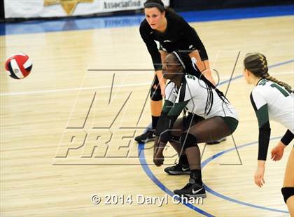 Thumbnail 3 in Archbishop Mitty vs. South (CIF State D2 Finals) photogallery.