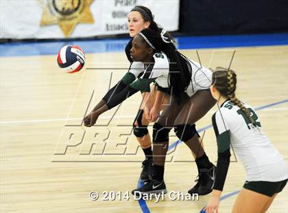 Thumbnail 3 in Archbishop Mitty vs. South (CIF State D2 Finals) photogallery.