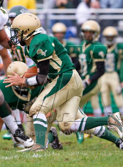 Thumbnail 2 in William Floyd @ Longwood photogallery.
