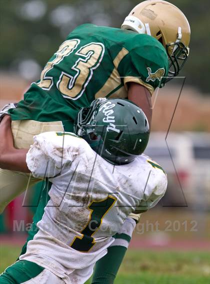 Thumbnail 3 in William Floyd @ Longwood photogallery.
