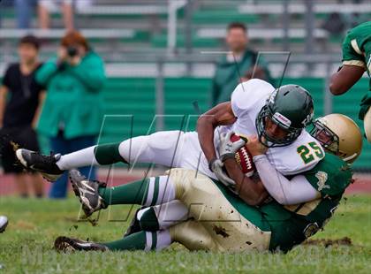 Thumbnail 3 in William Floyd @ Longwood photogallery.