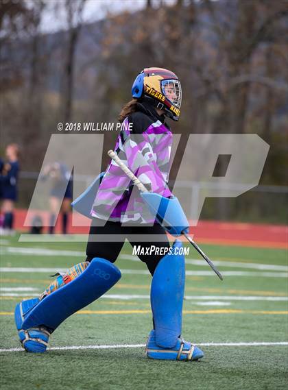 Thumbnail 1 in Pine Bush vs Kingston (Section 9 Class A Final) photogallery.