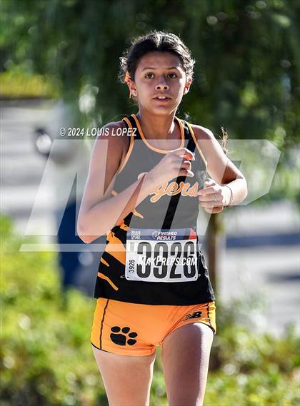 Thumbnail 3 in Diamond Ranch vs Ontario vs Chaffey vs Don Lugo vs Montclair (Mt. Baldy League Finals) photogallery.