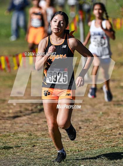 Thumbnail 2 in Diamond Ranch vs Ontario vs Chaffey vs Don Lugo vs Montclair (Mt. Baldy League Finals) photogallery.