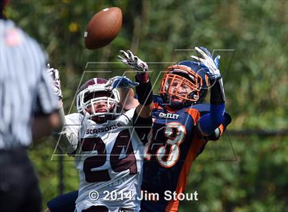 Thumbnail 1 in Scarsdale @ Horace Greeley photogallery.