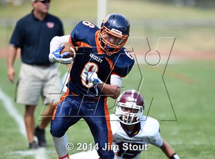 Thumbnail 2 in Scarsdale @ Horace Greeley photogallery.