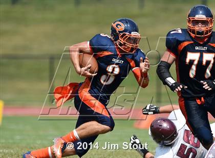 Thumbnail 2 in Scarsdale @ Horace Greeley photogallery.