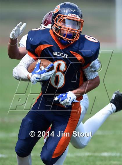 Thumbnail 3 in Scarsdale @ Horace Greeley photogallery.