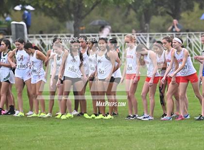 Thumbnail 1 in UIL Cross Country 4A Finals (2 Mile) photogallery.