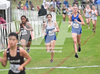 Thumbnail 1 in UIL Cross Country 4A Finals (2 Mile) photogallery.
