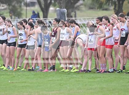 Thumbnail 1 in UIL Cross Country 4A Finals (2 Mile) photogallery.
