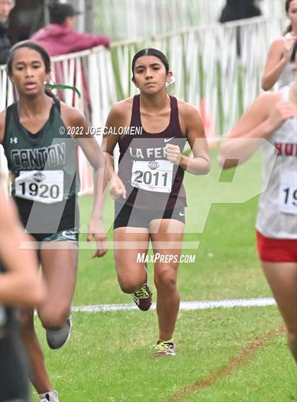 Thumbnail 1 in UIL Cross Country 4A Finals (2 Mile) photogallery.