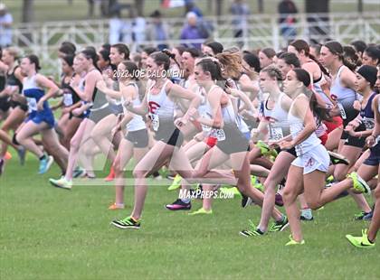 Thumbnail 1 in UIL Cross Country 4A Finals (2 Mile) photogallery.