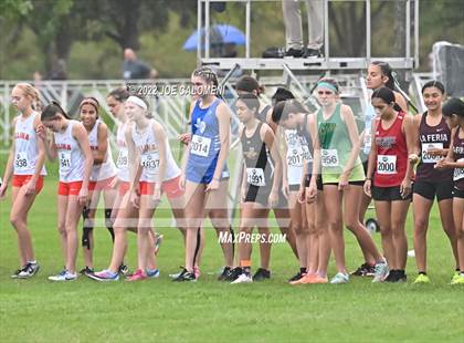 Thumbnail 3 in UIL Cross Country 4A Finals (2 Mile) photogallery.
