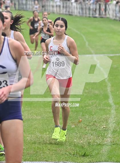 Thumbnail 1 in UIL Cross Country 4A Finals (2 Mile) photogallery.