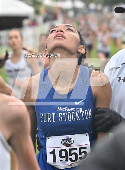 Thumbnail 3 in UIL Cross Country 4A Finals (2 Mile) photogallery.