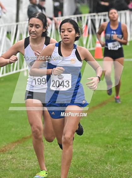 Thumbnail 3 in UIL Cross Country 4A Finals (2 Mile) photogallery.