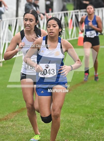 Thumbnail 1 in UIL Cross Country 4A Finals (2 Mile) photogallery.