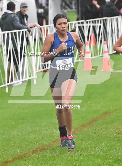 Thumbnail 1 in UIL Cross Country 4A Finals (2 Mile) photogallery.
