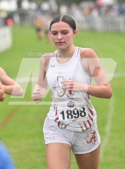 Thumbnail 1 in UIL Cross Country 4A Finals (2 Mile) photogallery.