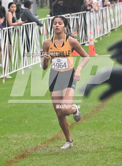 Thumbnail 1 in UIL Cross Country 4A Finals (2 Mile) photogallery.