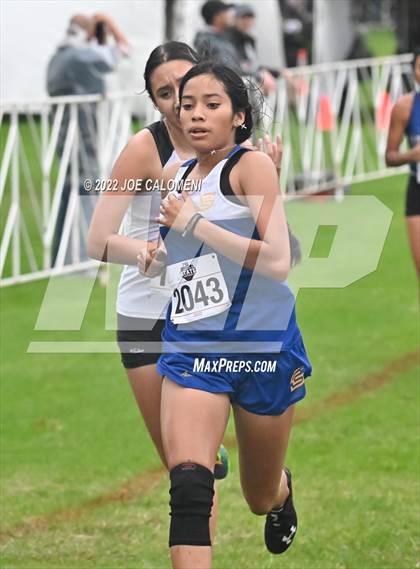 Thumbnail 2 in UIL Cross Country 4A Finals (2 Mile) photogallery.