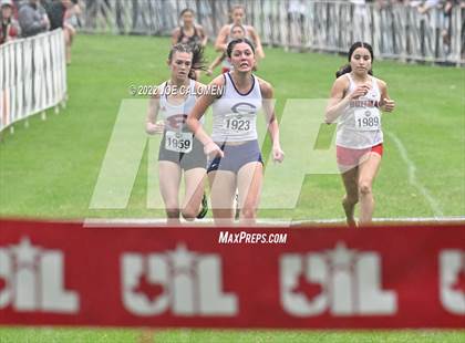Thumbnail 1 in UIL Cross Country 4A Finals (2 Mile) photogallery.