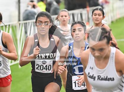 Thumbnail 1 in UIL Cross Country 4A Finals (2 Mile) photogallery.