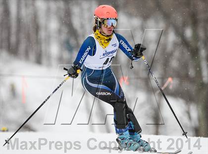 Thumbnail 1 in NYSPHSAA Alpine Championships (Slalom 1st Run - Bibs 31-63) photogallery.