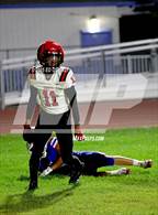 Photo from the gallery "St. Helena @ Lower Lake"