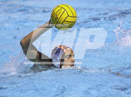 Thumbnail 3 in Brandeis vs. Marshall photogallery.