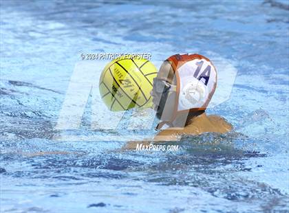 Thumbnail 1 in Brandeis vs. Marshall photogallery.