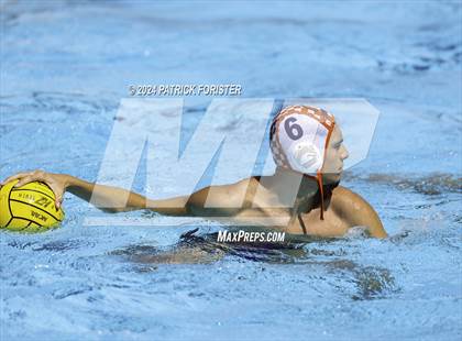 Thumbnail 1 in Brandeis vs. Marshall photogallery.