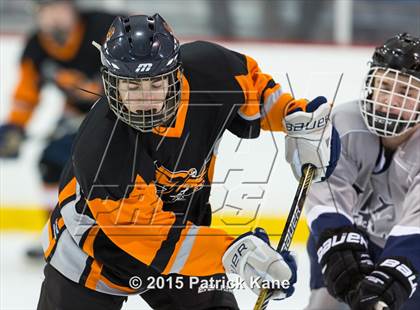 Thumbnail 1 in Hayfield/TC Williams/Lee @ Washington-Lee photogallery.