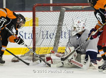 Thumbnail 3 in Hayfield/TC Williams/Lee @ Washington-Lee photogallery.
