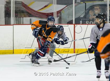 Thumbnail 1 in Hayfield/TC Williams/Lee @ Washington-Lee photogallery.