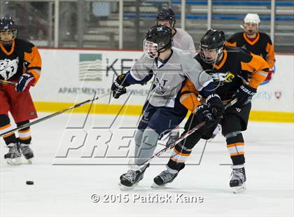 Thumbnail 1 in Hayfield/TC Williams/Lee @ Washington-Lee photogallery.