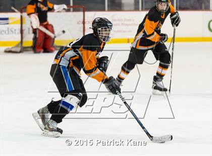 Thumbnail 2 in Hayfield/TC Williams/Lee @ Washington-Lee photogallery.